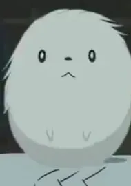 チコ